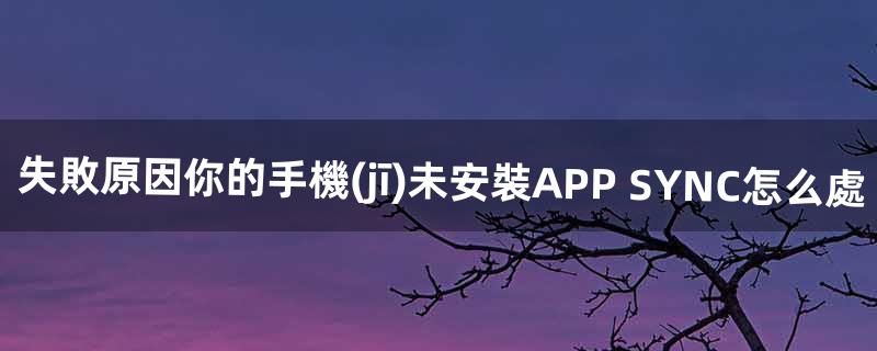 失敗原因你的手機(jī)未安裝APP SYNC怎么處